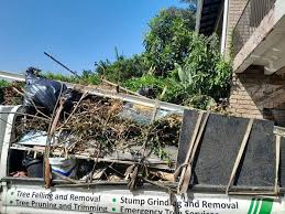 Best Attic Cleanout  in Calico Rock, AR